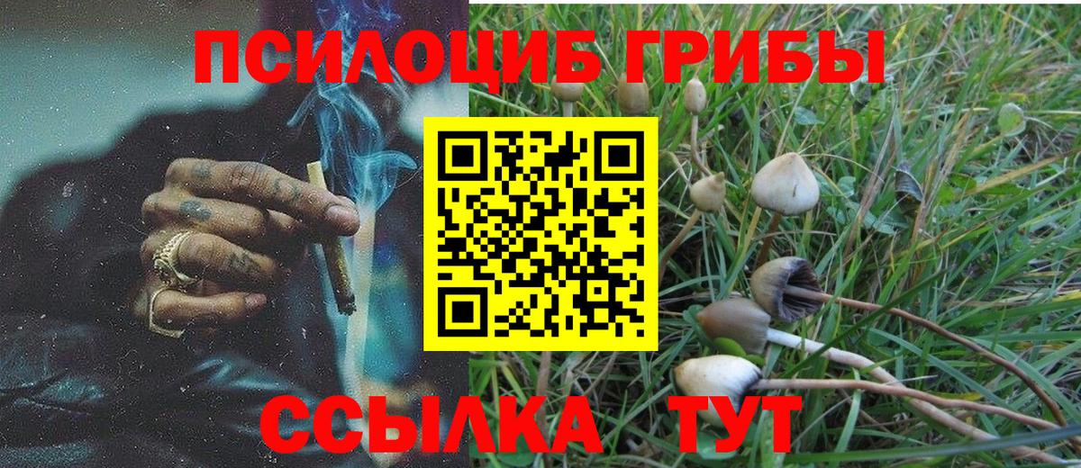 Псилоцибиновые грибы мицелий Карталы