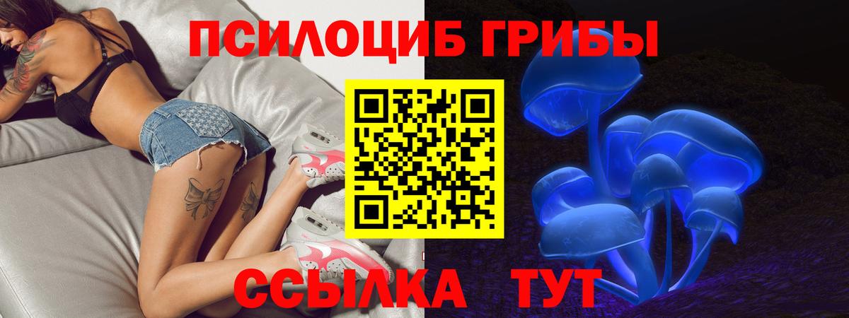 Псилоцибиновые грибы Psilocybe  Вход с VPN  Карталы 